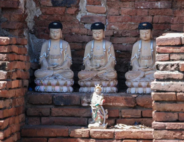 Ayutthaya Buda