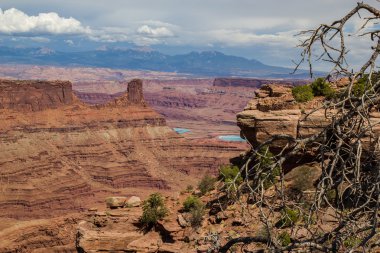 Canyonlands Milli Parkı