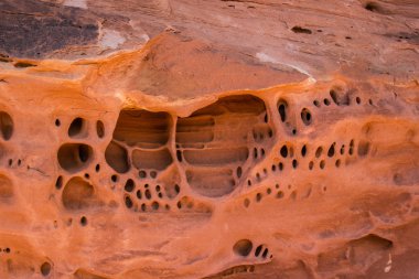 Canyonlands Milli Parkı