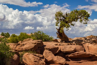 Canyonlands Milli Parkı