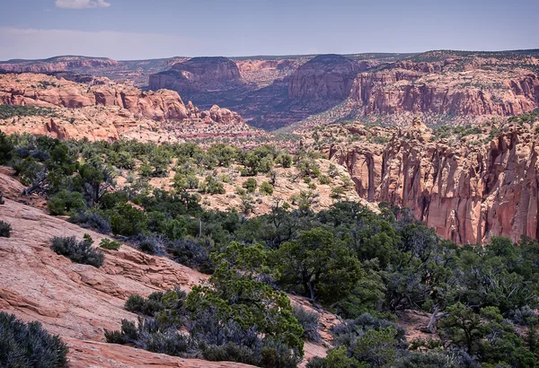 Navajo nationella monument — Stockfoto