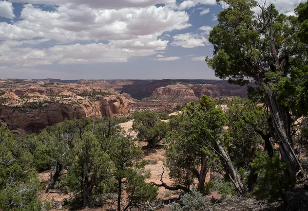 Monumento Nacional Navajo — Foto de Stock