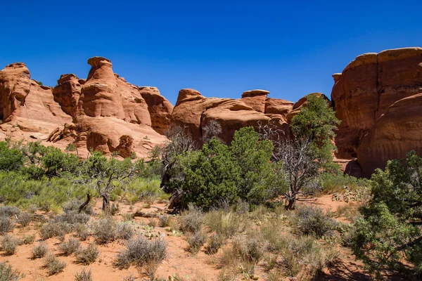 Arches national park — Stockfoto