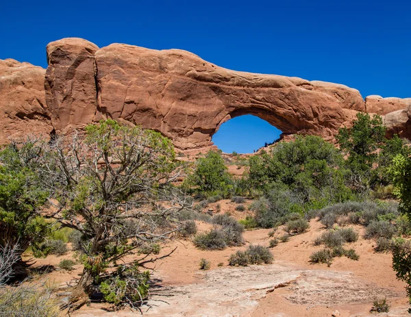 Arches national park — Stockfoto