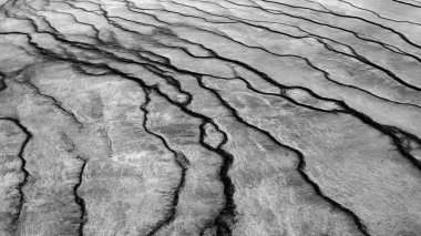 Grand Prizmatik bahar