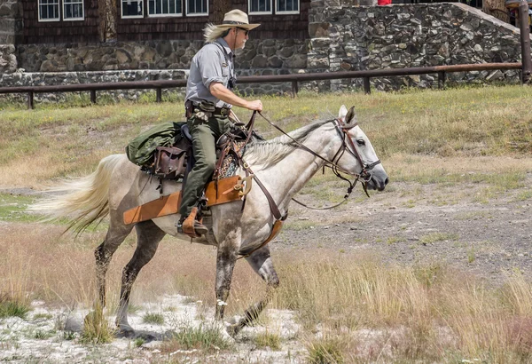 Yellowstone Park Ranger — Stockfoto