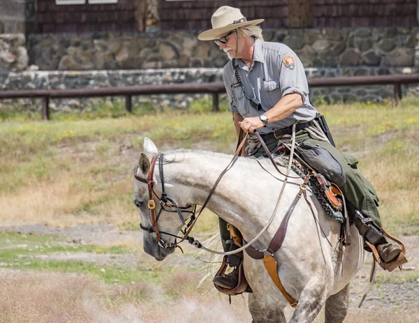 Yellowstone Park Ranger — Stockfoto