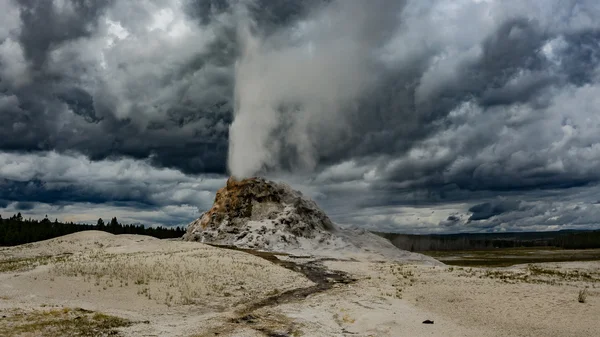 Weißer Kuppelgeysir — Stockfoto