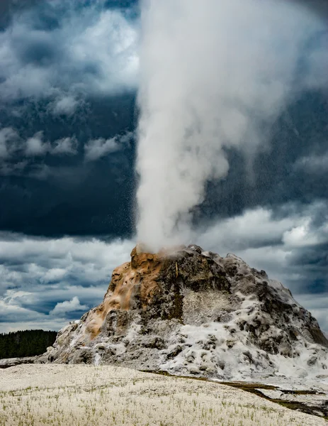 Geyser dôme blanc — Photo