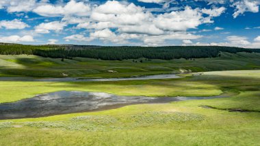 Hayden Vadisi Yellowstone