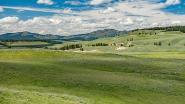 Hayden Vadisi Yellowstone