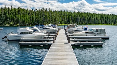Yellowstone Gölü Marina