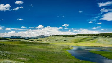 Hayden Vadisi Yellowstone