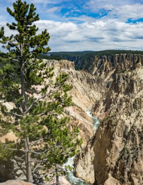 Yellowstone 'un Büyük Kanyonu