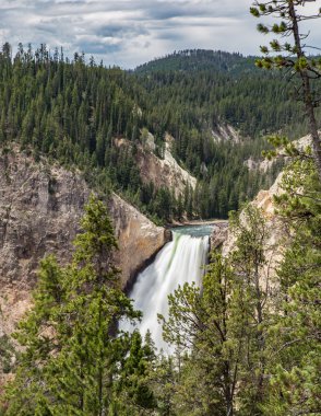 Güçlü Yellowstone Falls
