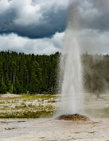 Εκρήγνυται θερμοσίφωνας στο yellowstone — Φωτογραφία Αρχείου