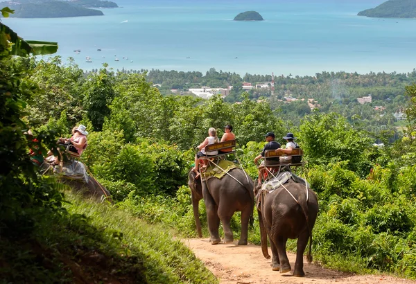 Passeio de elefante Phuket Imagens De Bancos De Imagens Sem Royalties