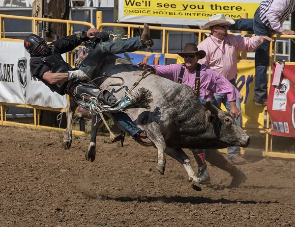 Bull Rider Leaves the Hard Way — Stock Photo, Image