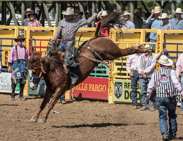 Cowboy Ridning hårt — Stockfoto