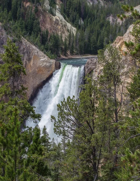 Yellowstone Falls Wyoming — Fotografia de Stock