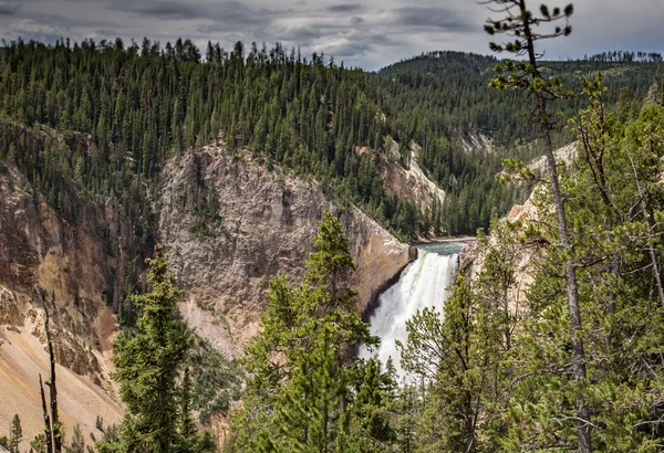 Yellowstone Falls Wyoming — Fotografia de Stock