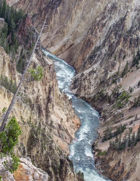Rio Yellowstone e Canyon — Fotografia de Stock