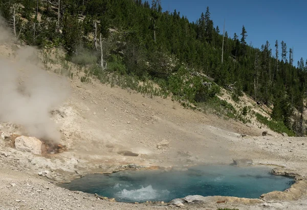 Sources thermales Yellowstone — Photo