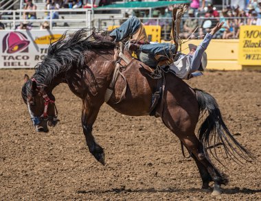 Bir Bronc binici sıkı tutan