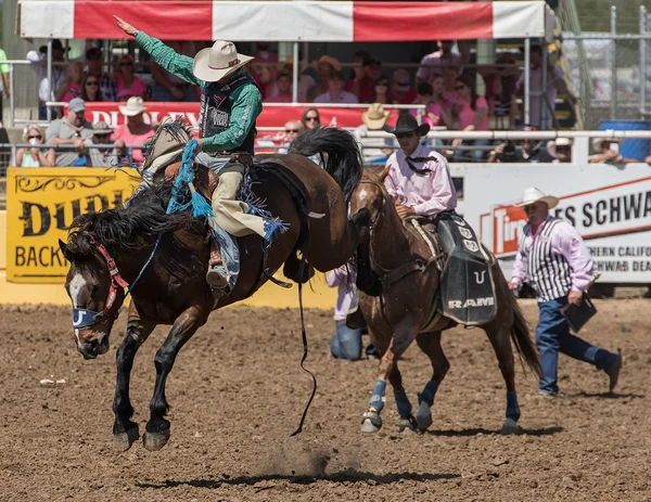 Een Bronc Rider bezit op strakke — Stockfoto