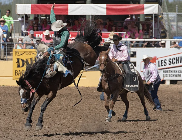 Um cavaleiro de Bronc segura em apertado — Fotografia de Stock