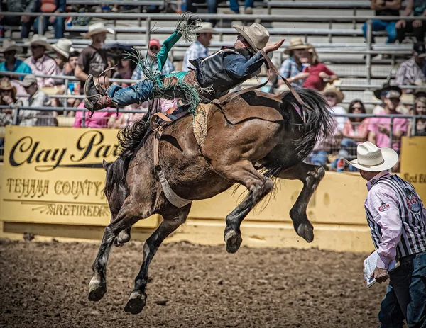 Een Bronc Rider bezit op strakke — Stockfoto