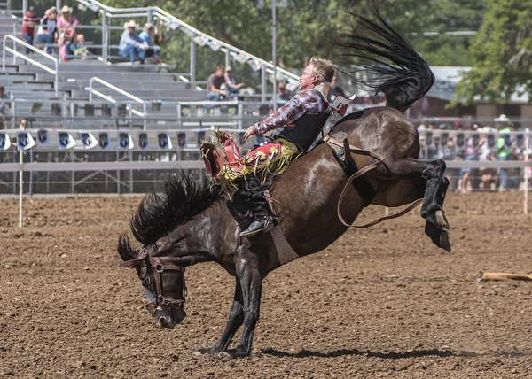 Een Bronc Rider bezit op strakke — Stockfoto