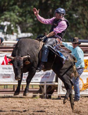 Kovboy Rodeo sürme boğa