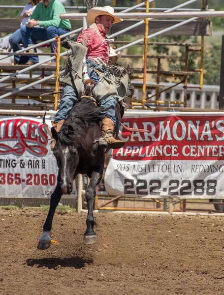 Bronco equitação Cowboy — Fotografia de Stock