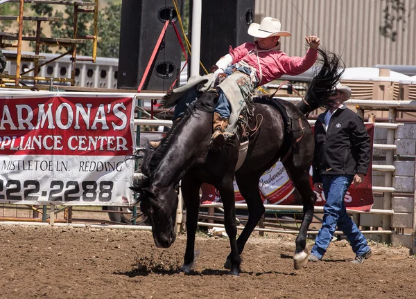 Bronco Reiten Cowboy — Stockfoto