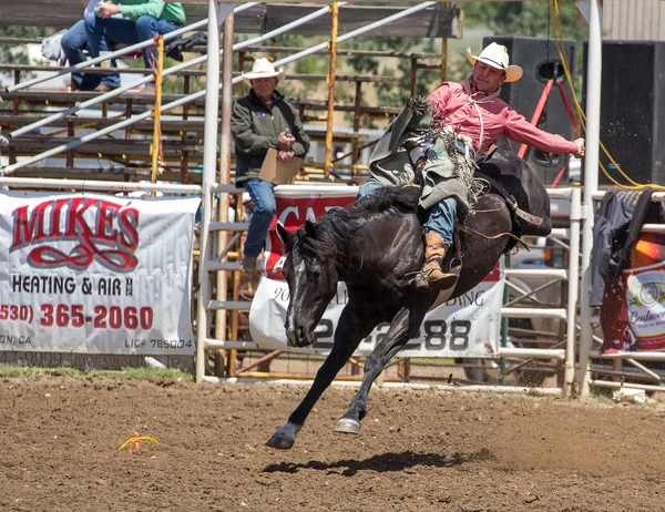 Bronco cavalcare cowboy — Foto Stock