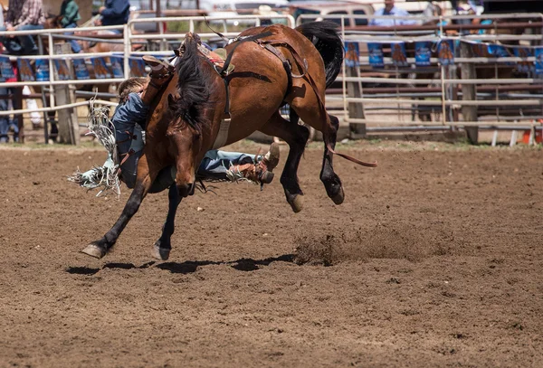 Bronco cavalcare cowboy — Foto Stock