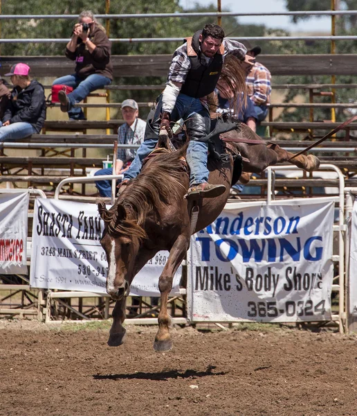Bronco paardrijden Cowboy — Stockfoto