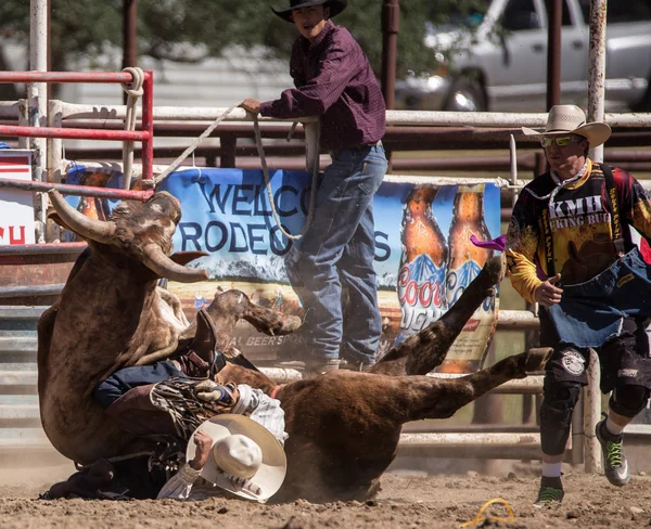 Bull Riding Cowboy vai para baixo — Fotografia de Stock