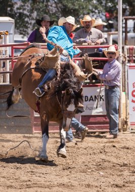 Cottonwood Rodeo kovboy