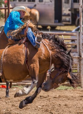 Rodeo kovboy kilitleniyor