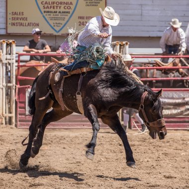 Rodeo kovboy kilitleniyor