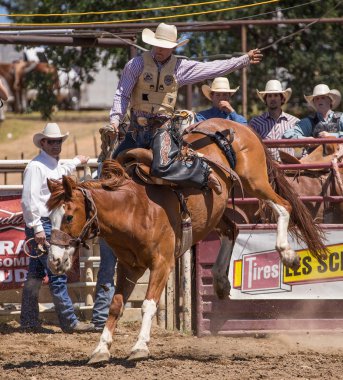 Rodeo kovboy kilitleniyor