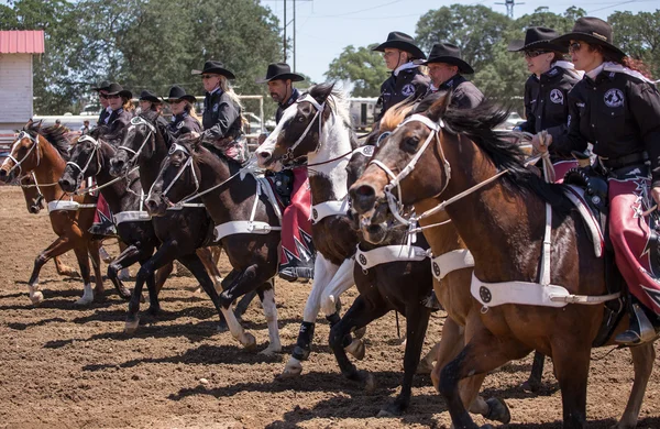 Redding Rodeo borr Team — Stockfoto