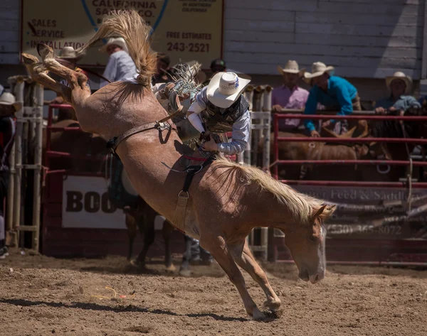 Rodeo Cowboy wisi — Zdjęcie stockowe