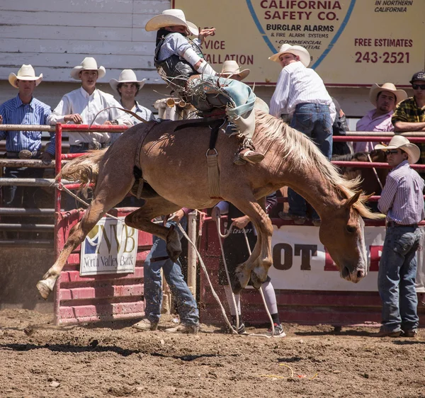 Bronco Rider Perdre le contrôle — Photo