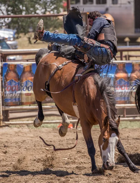 Bronco Rider Losing Control — Stock Photo, Image