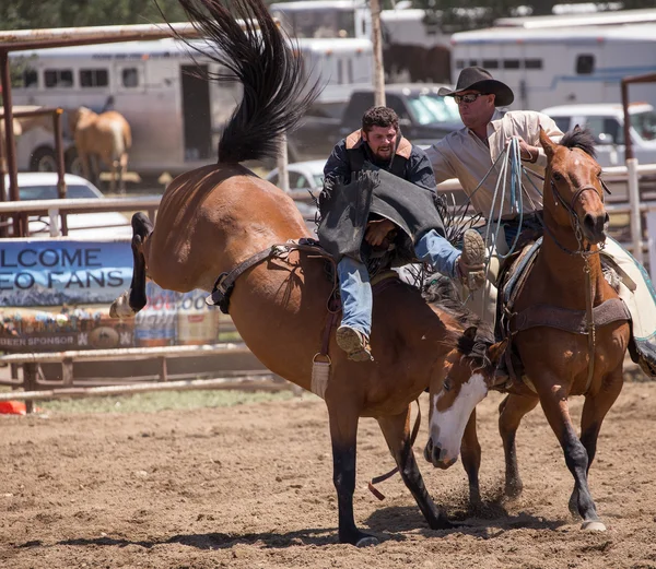 Cowboy obtient de l'aide — Photo