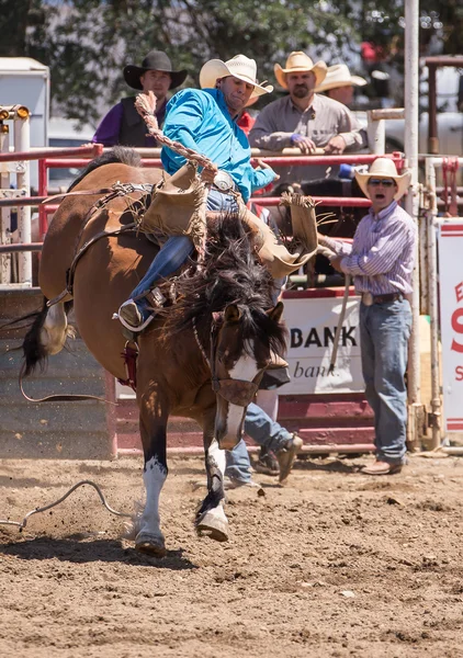 Cottonwood Rodeo Cowboy — Stockfoto