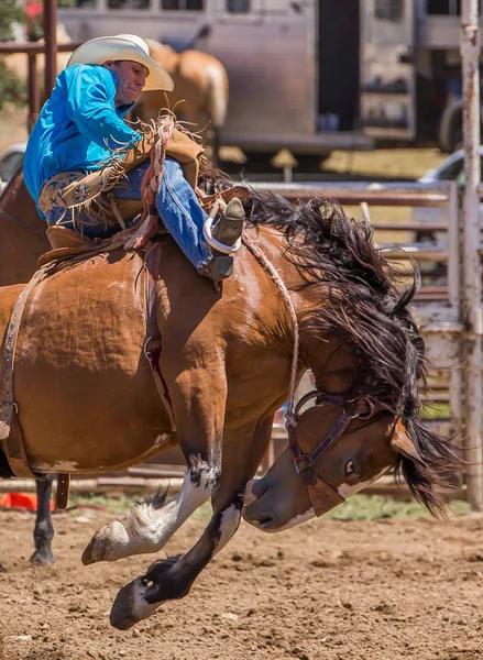 Rodeo Cowboy wisi — Zdjęcie stockowe